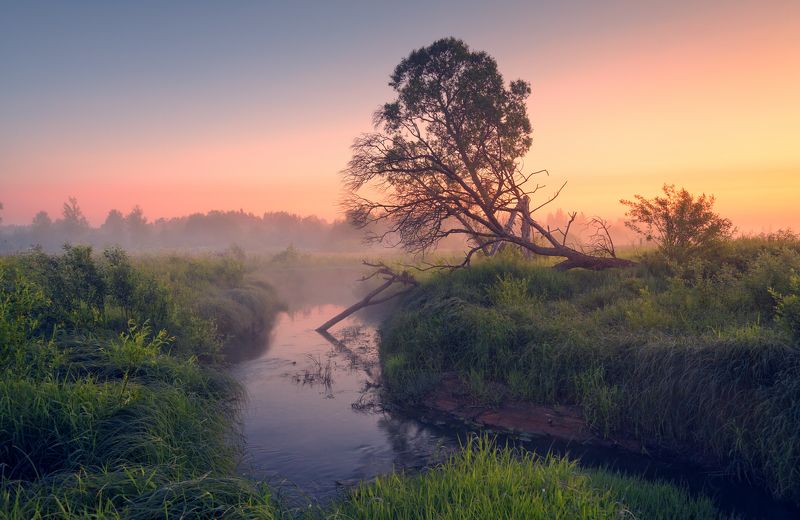 Середина июня ...photo preview
