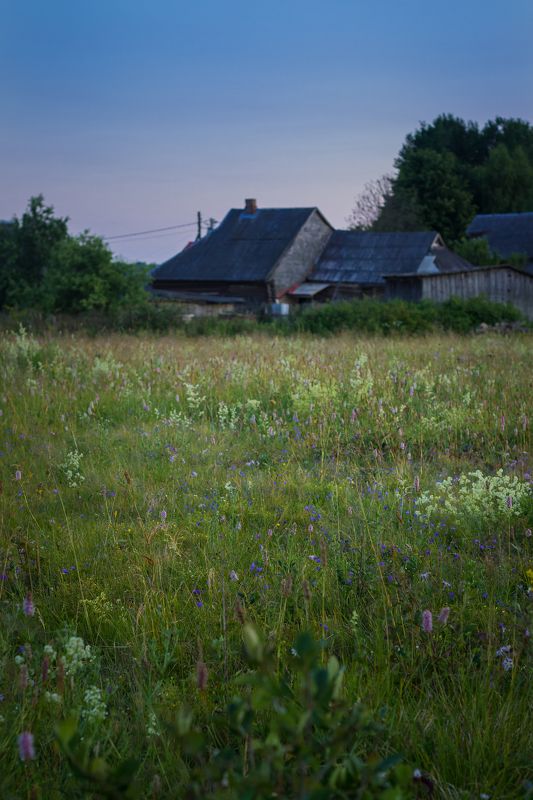 Разнотравье (За околицей)photo preview