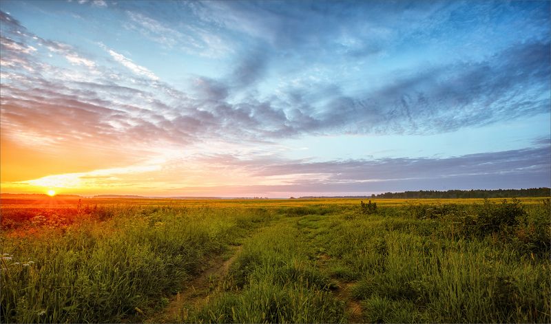 лето, вечер, деревня, свет, цвет, александр никитинский Летний вечер в деревне...photo preview