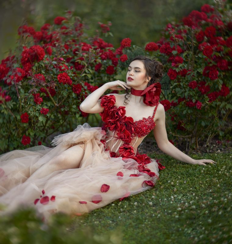 роза, цветы, девушка, пышное платье, кутюр, сад, сказка, фентези Садовая розаphoto preview