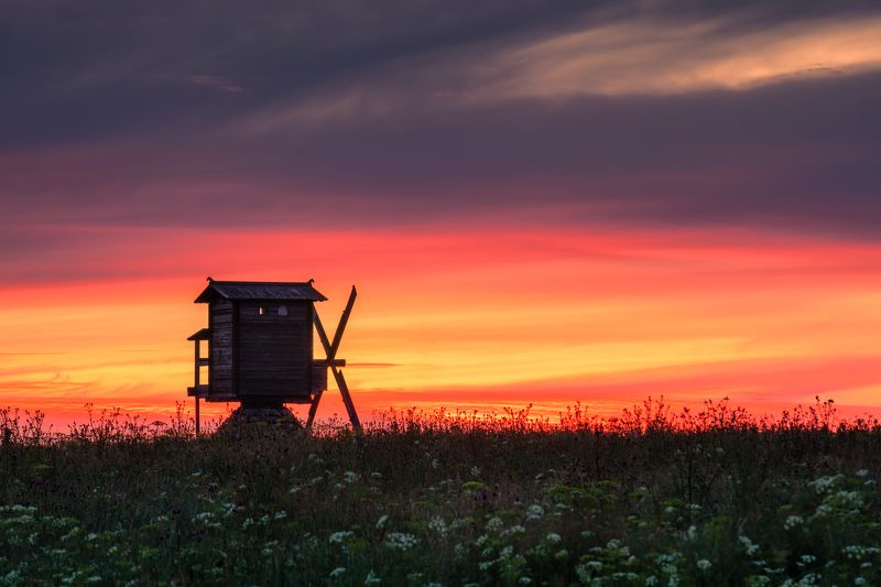 кимжа #вкимжевсегдахорошо фото превью