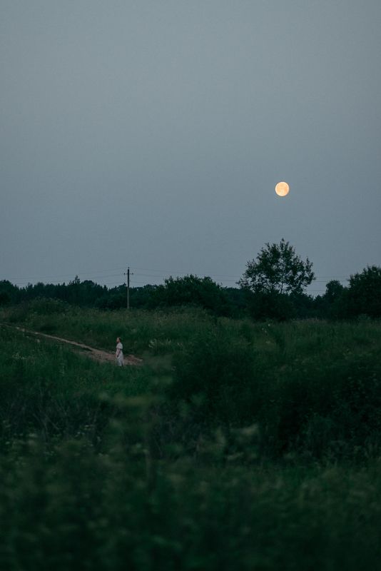 лето ночь летняя ночь полная луна полнолуние Летняя ночь и полная Луна фото превью