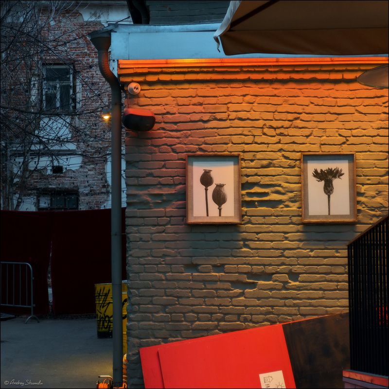 москва, дворы Московские дворикиphoto preview