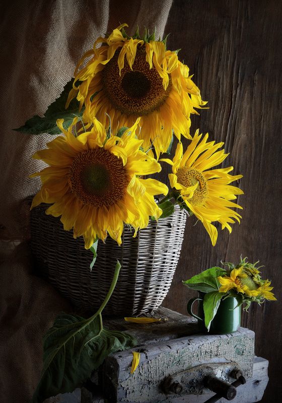 сергей алексеев, натюрморт Подсолнечное затмение фото превью