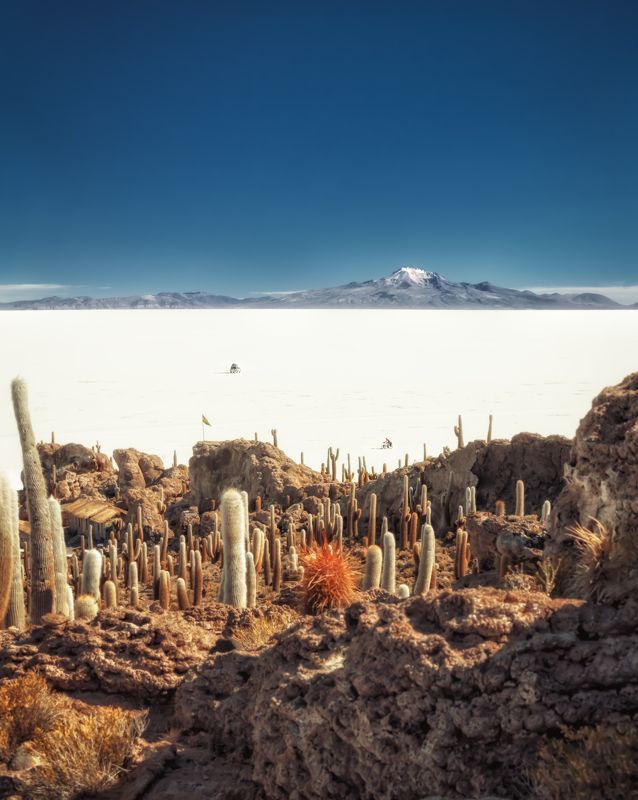 uyuni, bolivia, incahuasi island, остров кактусов, солончак уюни, боливия Утро на солончаке Уюни фото превью