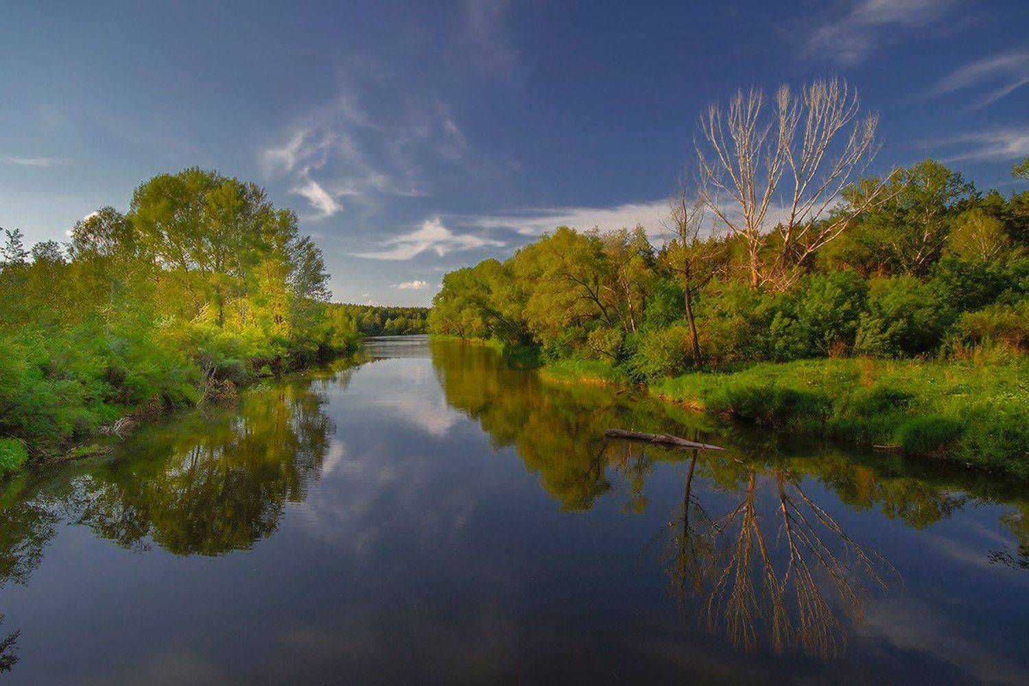 пейзаж ,лето ,вечер, Евгений Шестаев