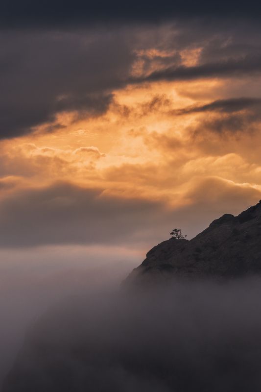 Вырвавшись из туманаphoto preview