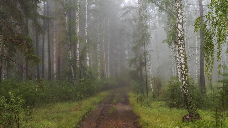 После дождяphoto preview