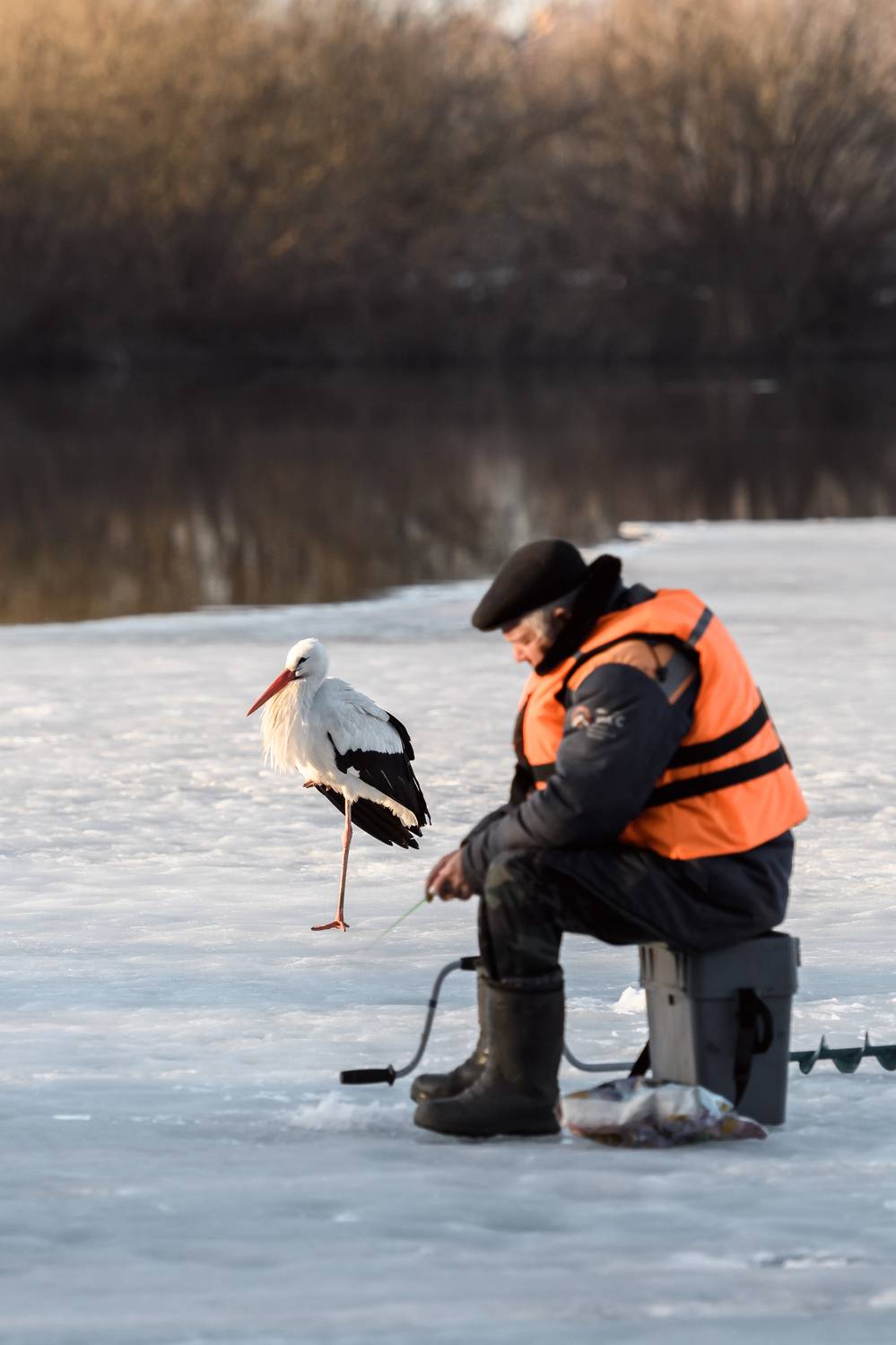 "Диалоги о рыбалке"). Автор: Юлия Лаптева , Юлия Лаптева