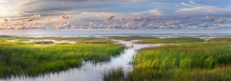 залив, панорама, балтика, санкт-петербург, дамба, камыш, облака, небо, закат, природа, пейзаж, красиво, умиротворение Залив у дамбы С-Петербургаphoto preview