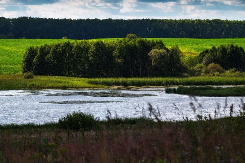 пейзаж,лето,река,природа,поле,брянскаяобл,облака,россия Облачный день (За светом, тень...)photo preview