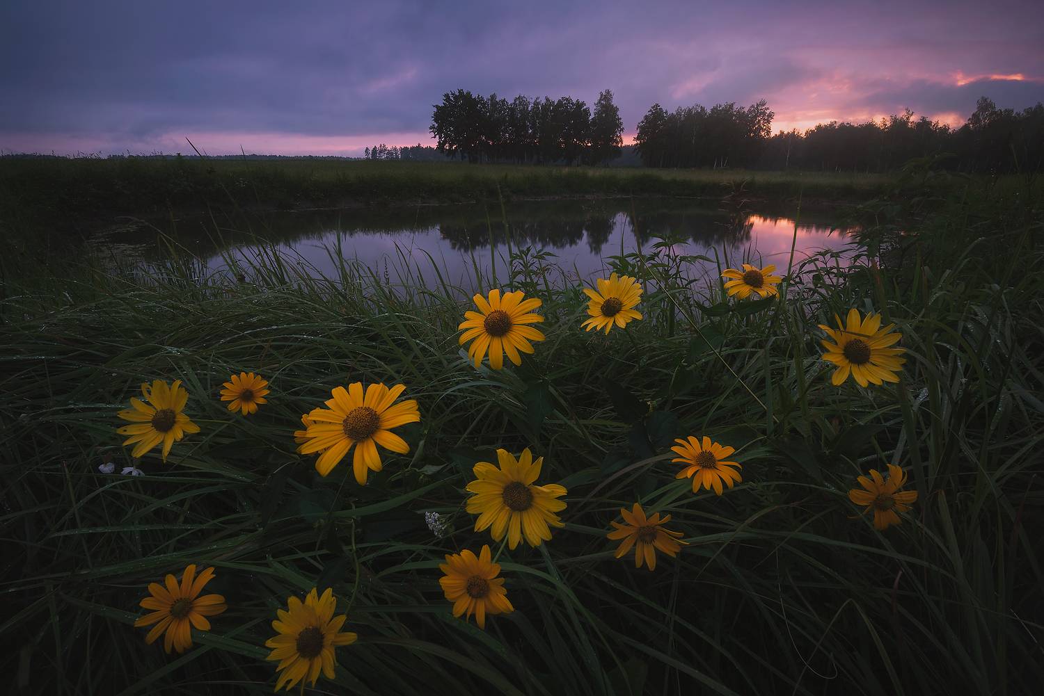 , Захаров Дмитрий