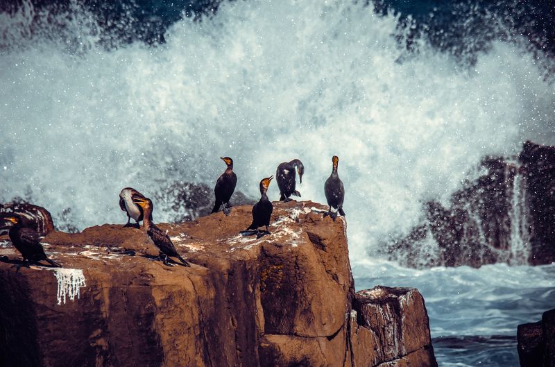 Summer фото превью