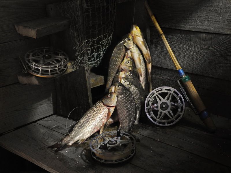 из серии - \\\