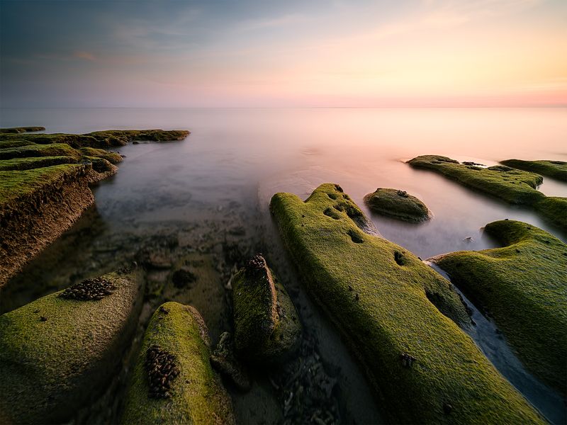 tectogenephoto preview