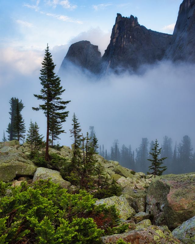 Тугодум в туманеphoto preview