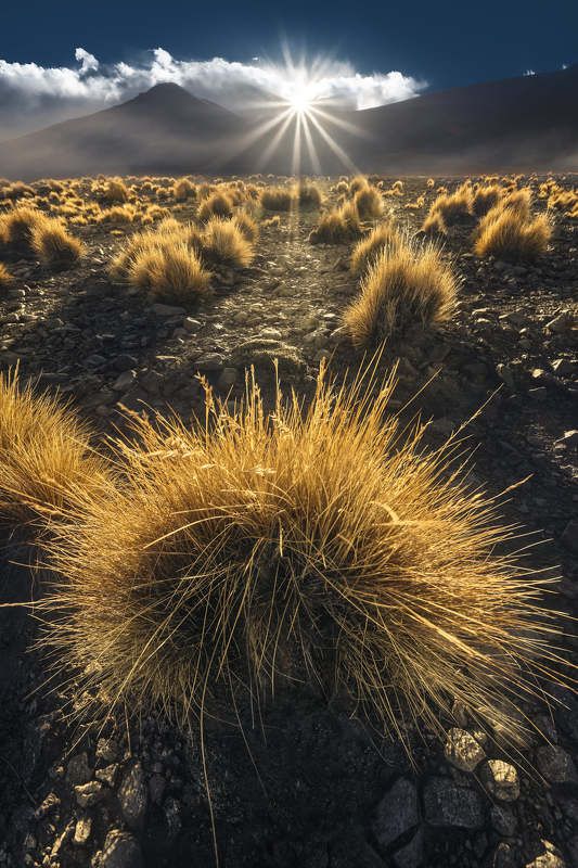 Boliviaphoto preview