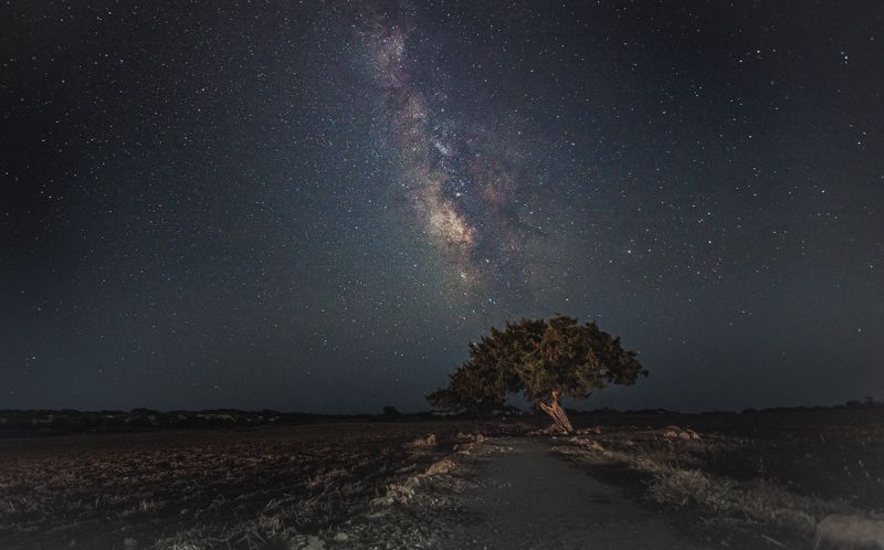 milky way, stars, night sky, landscape Mily Way over the juniper treephoto preview