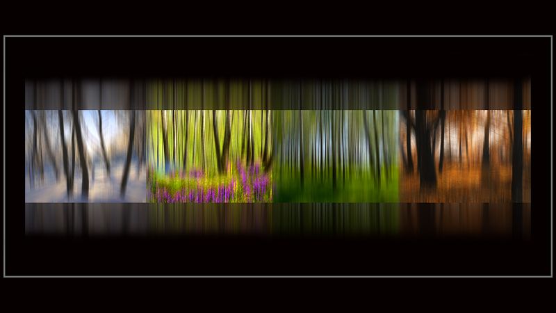 Времена года фото превью