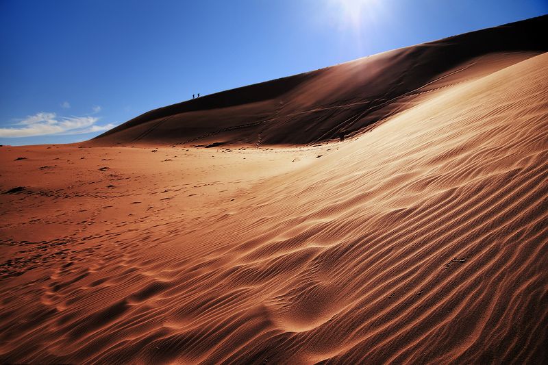 Долгий путьphoto preview