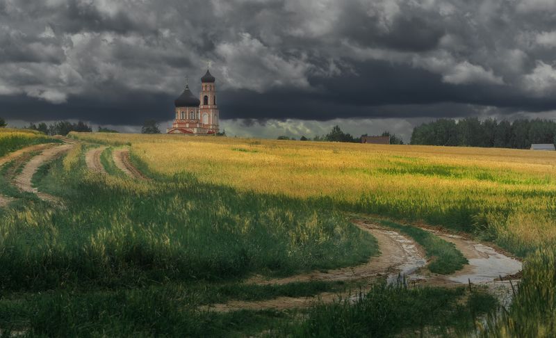 пасмурный день на поле photo preview