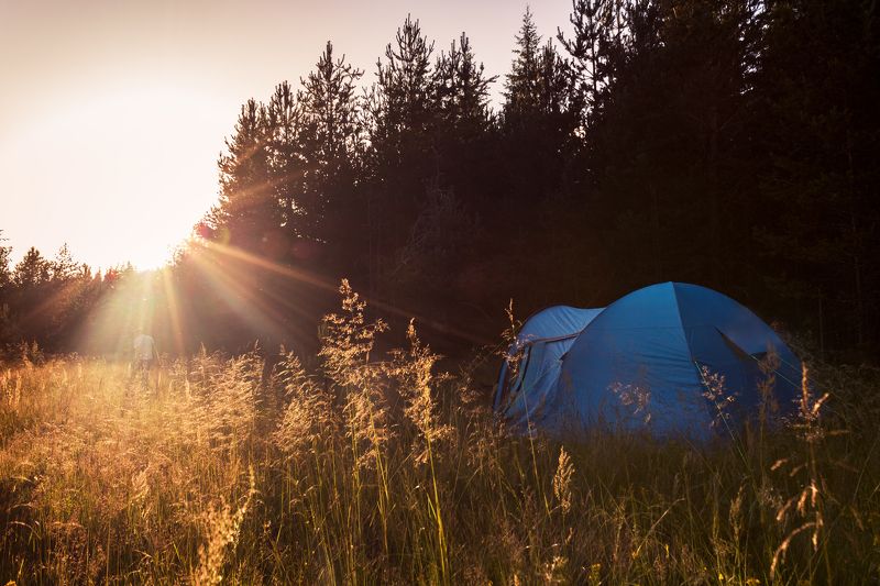 пейзаж, лето, лес, summer, sunset, nature, tent, camping Дом/ Homephoto preview