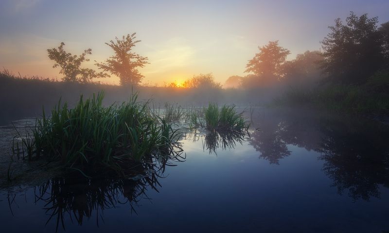 mist, river, landscape, sun, sunrise, fog, dawn, mourning The mist on the riverphoto preview