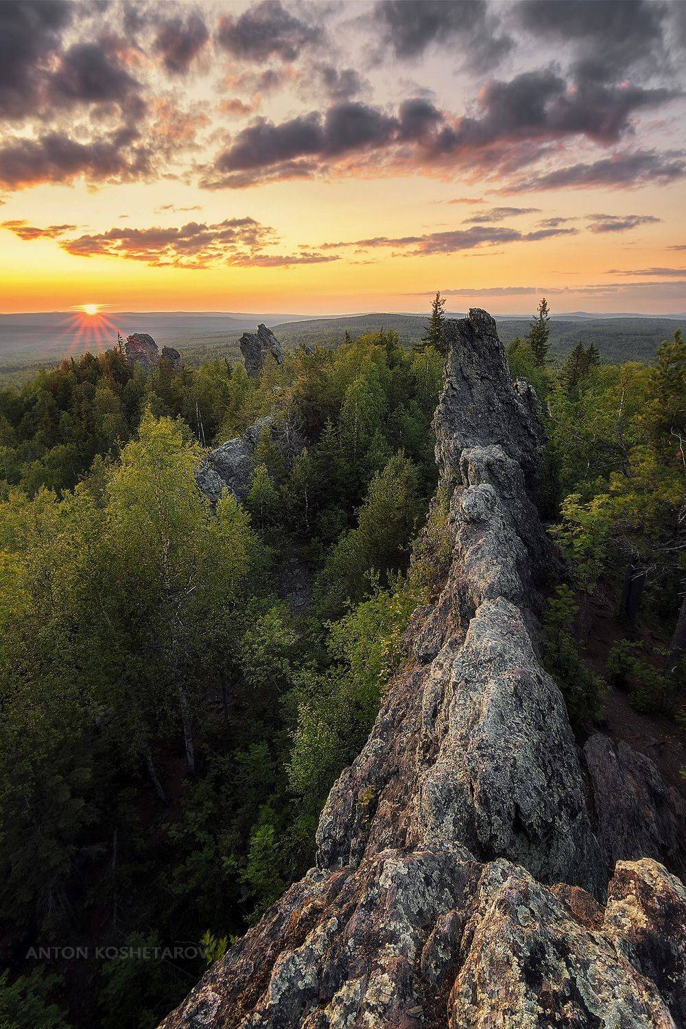 , Антон Кошетаров