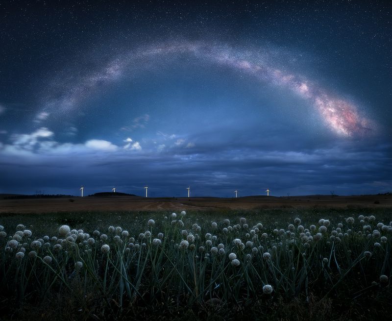 #nature #landscapes #astrophotography #milkyway #nightphotography  Flowers in the nightphoto preview