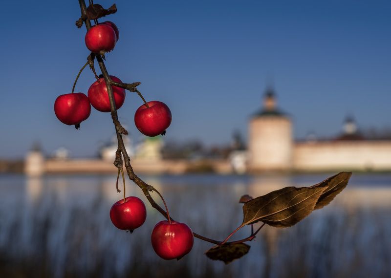 кирилло-белозерский монастырь, кириллов, осень Дичкиphoto preview