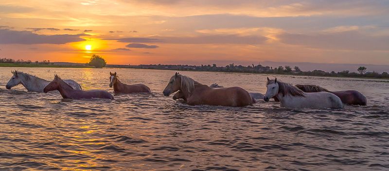 у села  камышово ПОЛОВОДЬЕphoto preview