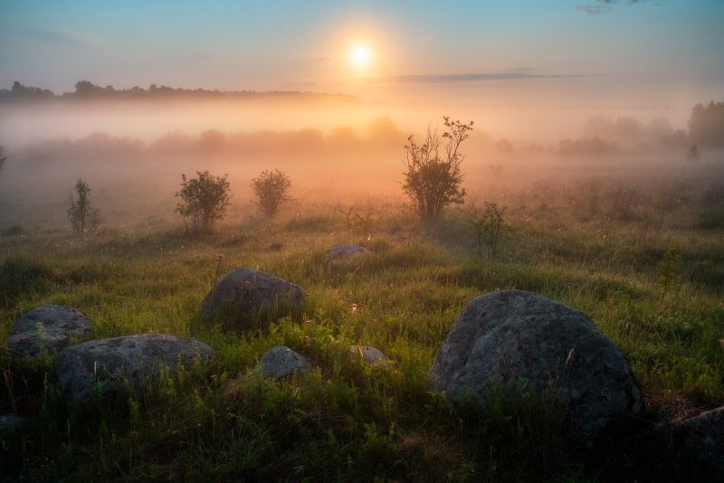утро, лето, туман, солнце, восход Восход середины летаphoto preview