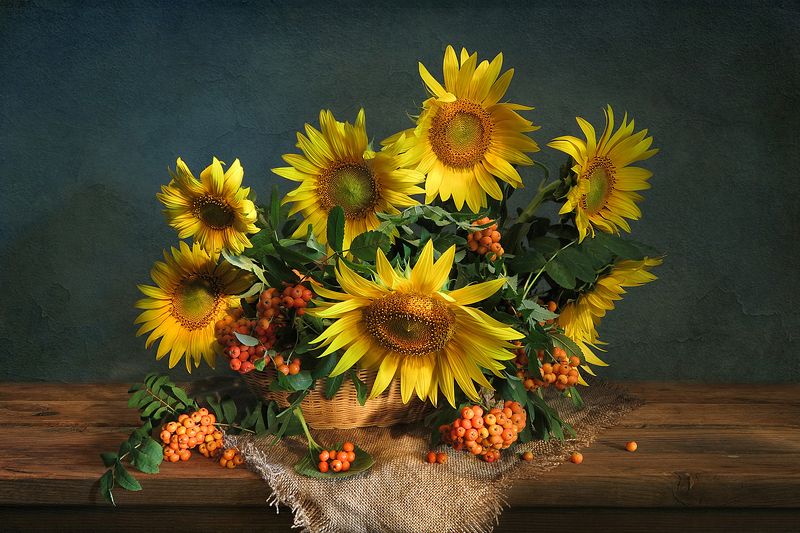 натюрморт,корзина,подсолнухи,рябина,мешковина Подсолнухи и рябинаphoto preview