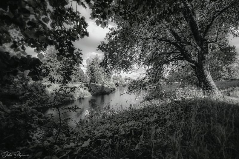 Под кроной...photo preview