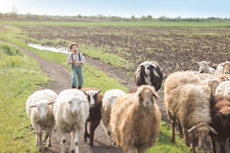 Пастух, детская фотосессия, стилизованная съёмка, фотосессия с животными, овечки, деревня, анапа, тематическая съемку, мальчик пастух Озорной пастушокphoto preview