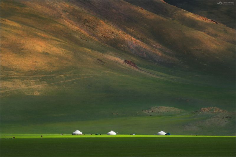 монголия, mongolia, монгольский алтай, алтай, западная монголия, пейзажи монголии, монгольский пейзаж, юрта, юрты, фототур в монголию,  nomad, golden eagle festival,беркутчи ТРИОphoto preview