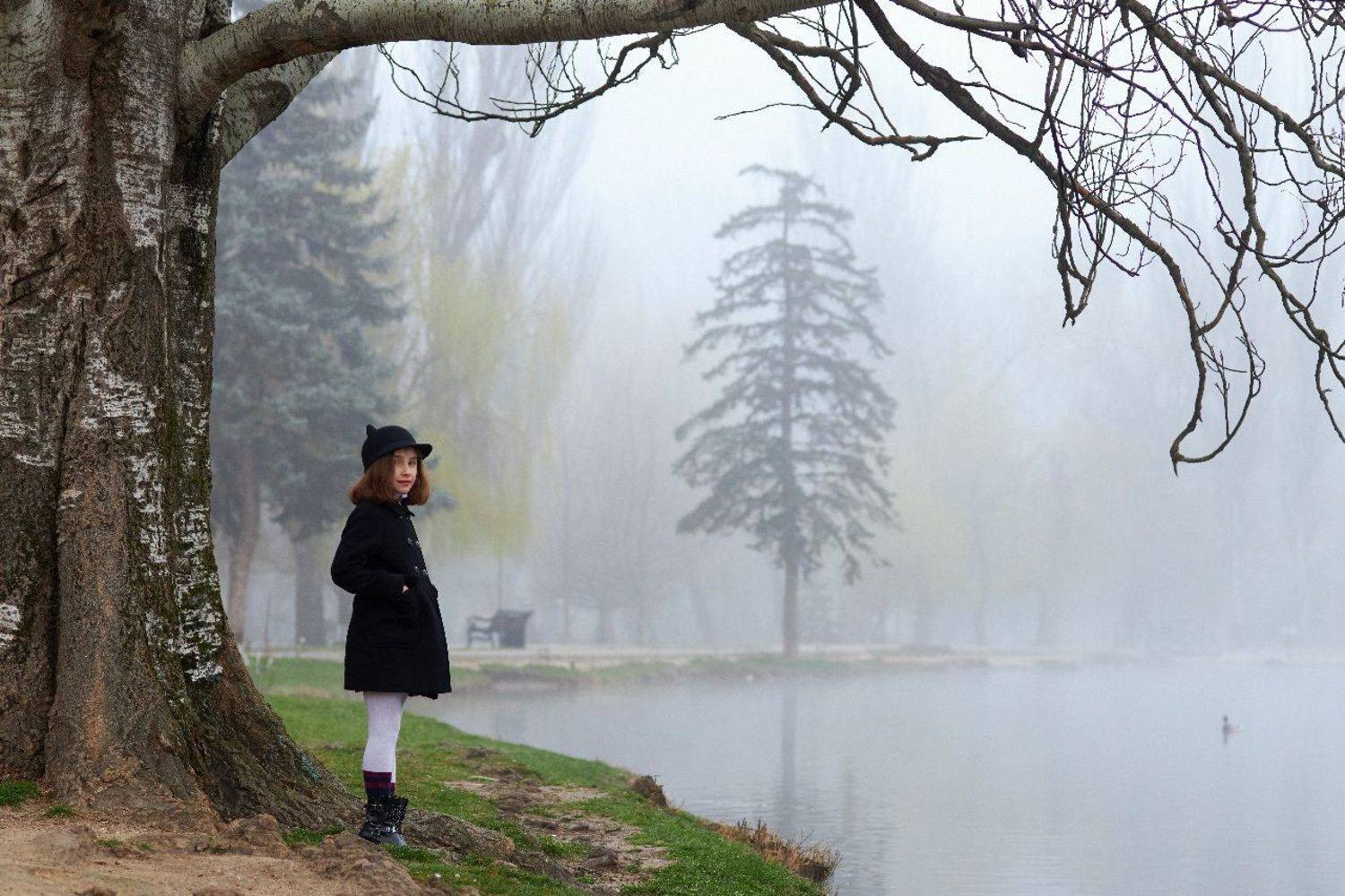 Автор: Франгони Владимир , Франгони Владимир