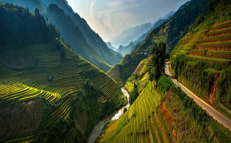Vietnam, Landscape, Scenics, Agriculture, Beauty In Nature, Color Image, Day, Farm, Field, Green Color, Growth, High Angle View, Horizontal, Lush Foliage, Mountain, Mountain Range, Nature, No People, Outdoors, Photography, Rice Paddy, Sunlight, Terraced F Amazing rice terracephoto preview