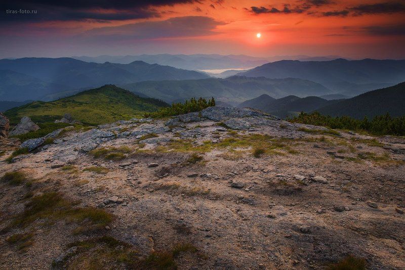 Карпаты, горы, рассвет, лето Рассвет на Вухатом камнеphoto preview