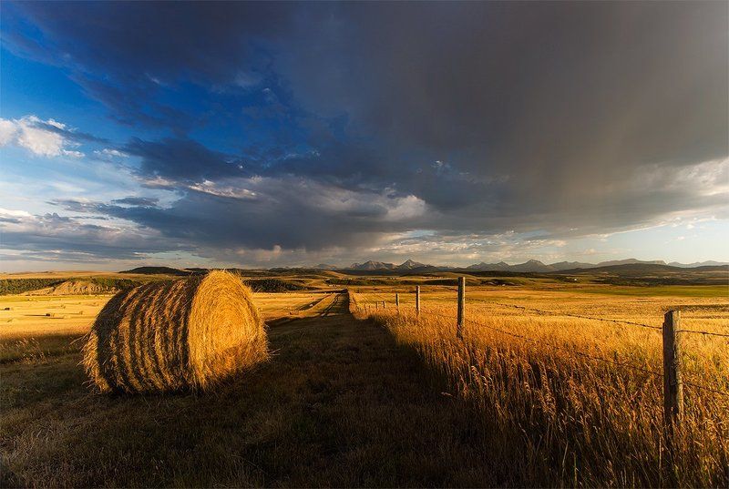 Провинциальноеphoto preview