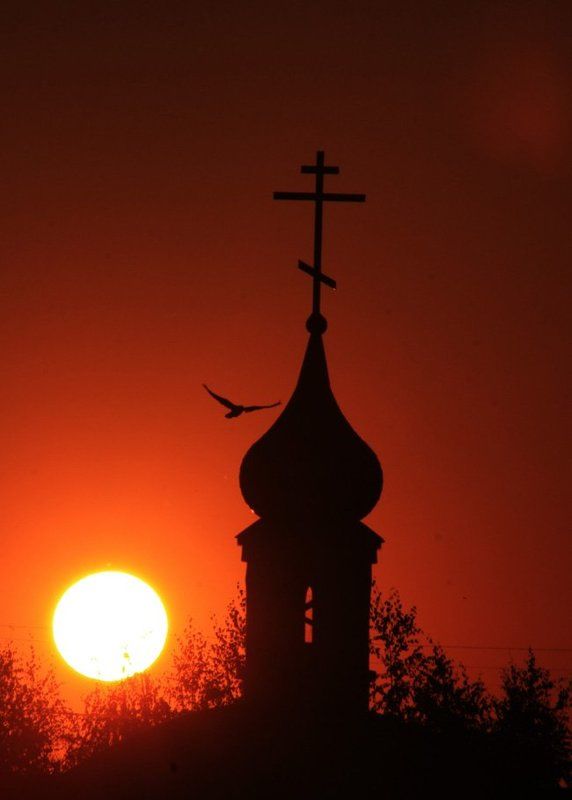 Закат, Силуэты закат фото превью