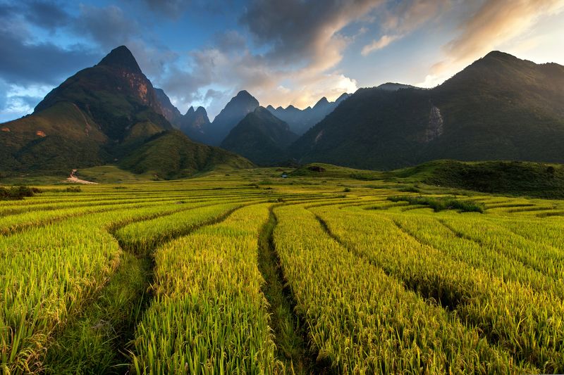 Vietnam, Mountain, Cloud - Sky, Color Image, Dusk, Field, Green Color, Growth, Horizontal, Nature, No People, Outdoors, Photography, Scenics, Sky, Tranquil Scene Mt Fansipan .....3143m. Vietnamphoto preview