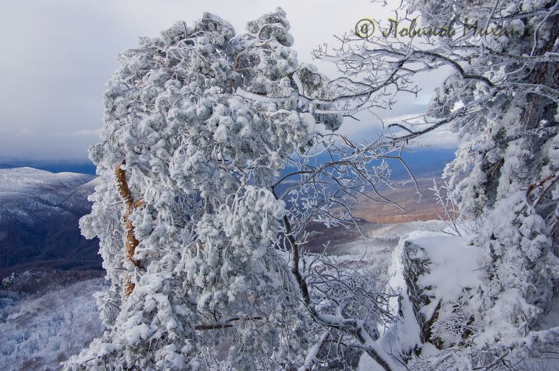 после снегопадаphoto preview