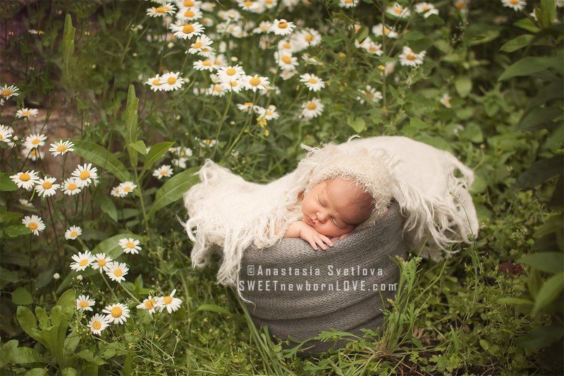 newborn summerphoto preview