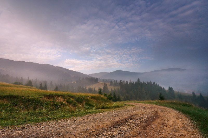 Июль, Карпаты, Лето, Туман, Украина, Утро Утро над Пилипцомphoto preview