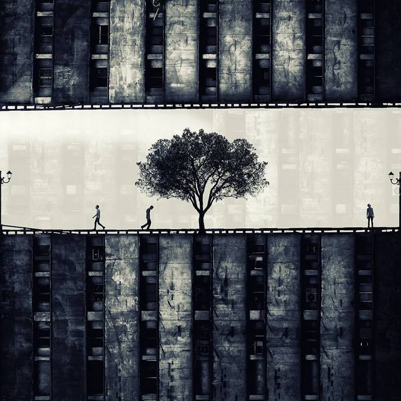 paradise, lost, miladsafabakhsh, swpa, sony, awards, shortlist, enhanced, creative, concept, human, building, architecture, tree, strret,  Paradise lostphoto preview