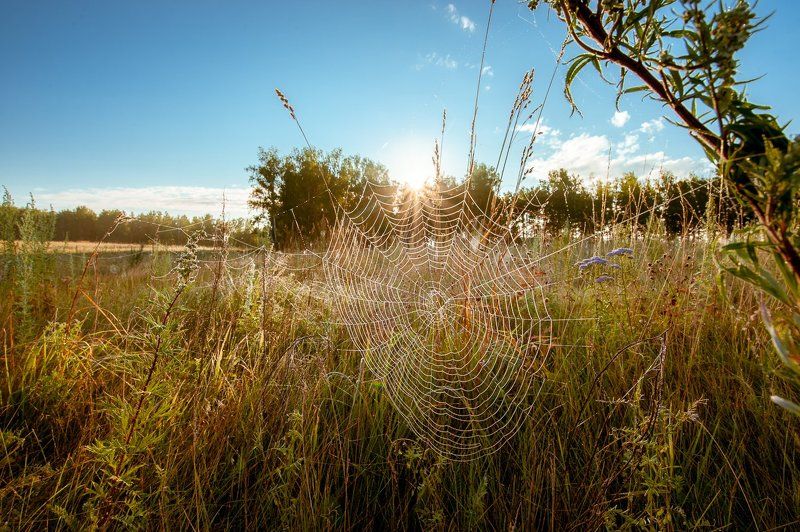 О солнце, попавшем в ловушкуphoto preview