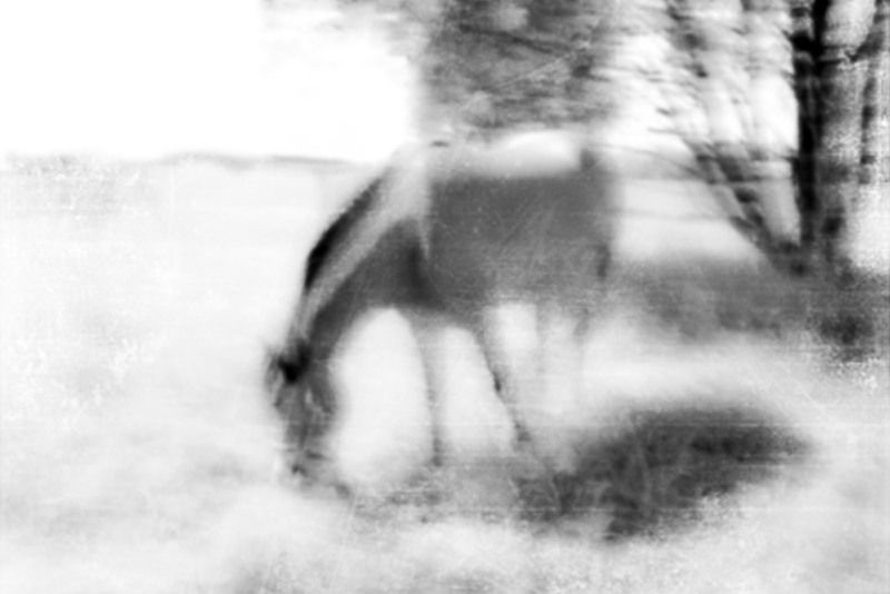 их никто не спрашивает....photo preview