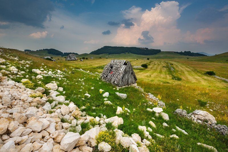 Дурмитор, Черногория По дороге в Дурмитор (Черногория)photo preview