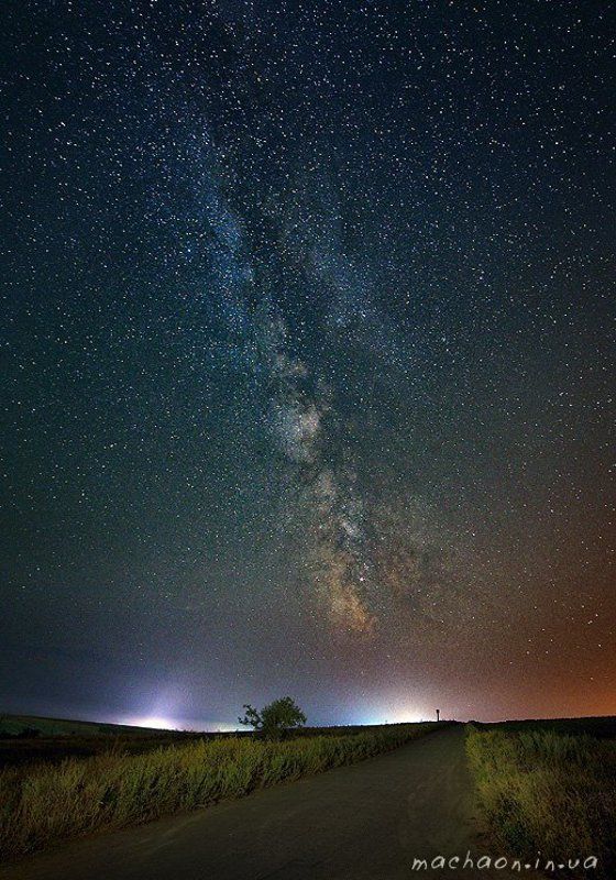 ночь, поля, подсолнухи, звёзды Ночноеphoto preview